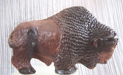 Bison